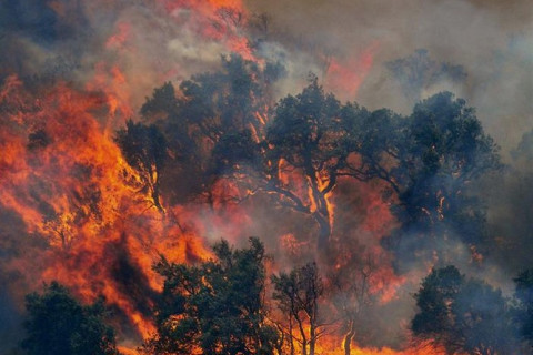 Brasil registra recorde de incêndios florestais entre janeiro e abril