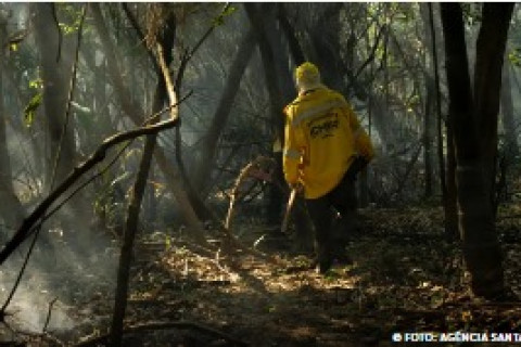 Amazônia tem o maior número de queimadas e incêndios em 17 anos
