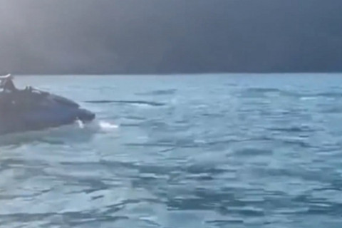 MPF conclui que Bolsonaro não teve intenção de importunar baleia e arquiva investigação