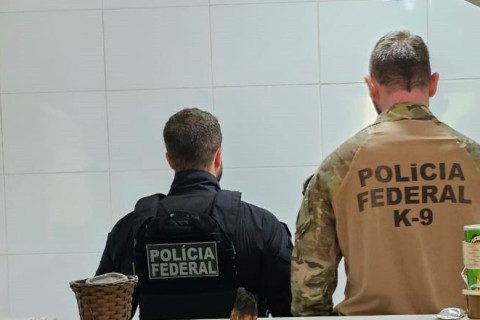 Homem é preso por enviar drogas pelos Correios