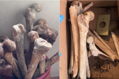 PM encontra ossos e crânios humanos em apartamento nos Jardins, em SP