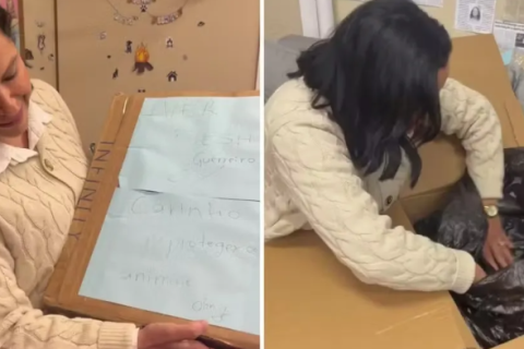 Mulher é indiciada após enviar corpo de cachorro para gabinete de vereadora