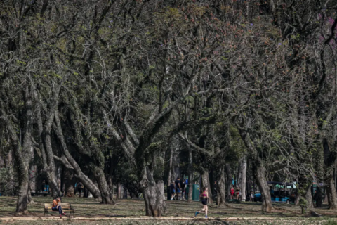São Paulo encerrou mês de agosto como um dos mais secos dos últimos anos