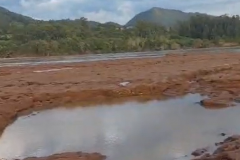 Agro critica importação de arroz pelo Governo