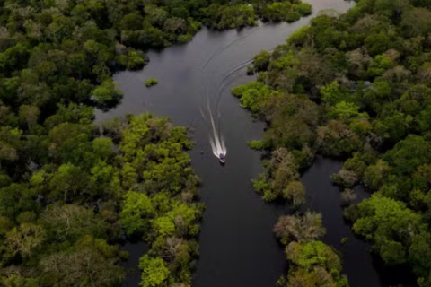 Lei Geral do Licenciamento Ambiental é alvo de pressão de ONGs na ONU e no STF
