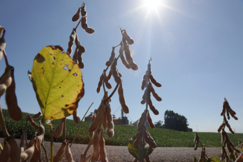 CNA propõe medidas emergenciais para produtores prejudicados por adversidades climáticas