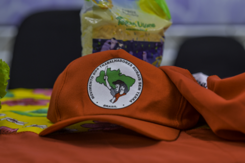 MST anuncia ocupações em áreas do CE, DF, GO, SP, PA e RJ; total sobe para 9