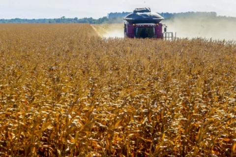 Tarifaço deve atingir 36,5% das exportações do agro brasileiro, estima CNA