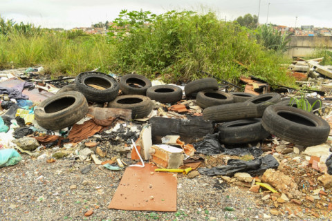 Número de casos de dengue cai em maio, mas mortes aumentam no Brasil