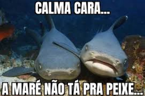 A maré não está pra peixe!