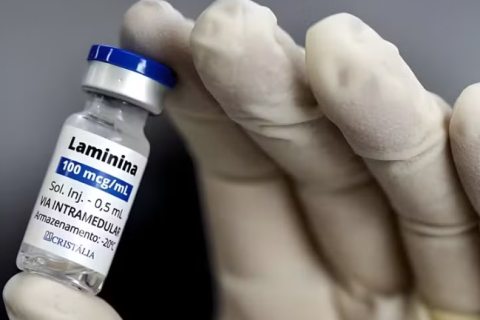 Polilaminina: Laboratório Cristália inicia estudo clínico para testar tratamento contra lesão na medula