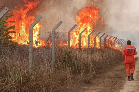 Emissões de carbono no Brasil disparam após incêndios no Pantanal e Amazônia